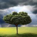 The+vanquished+guild+launch